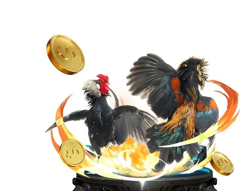 Hoàn trả đá gà hàng tuần